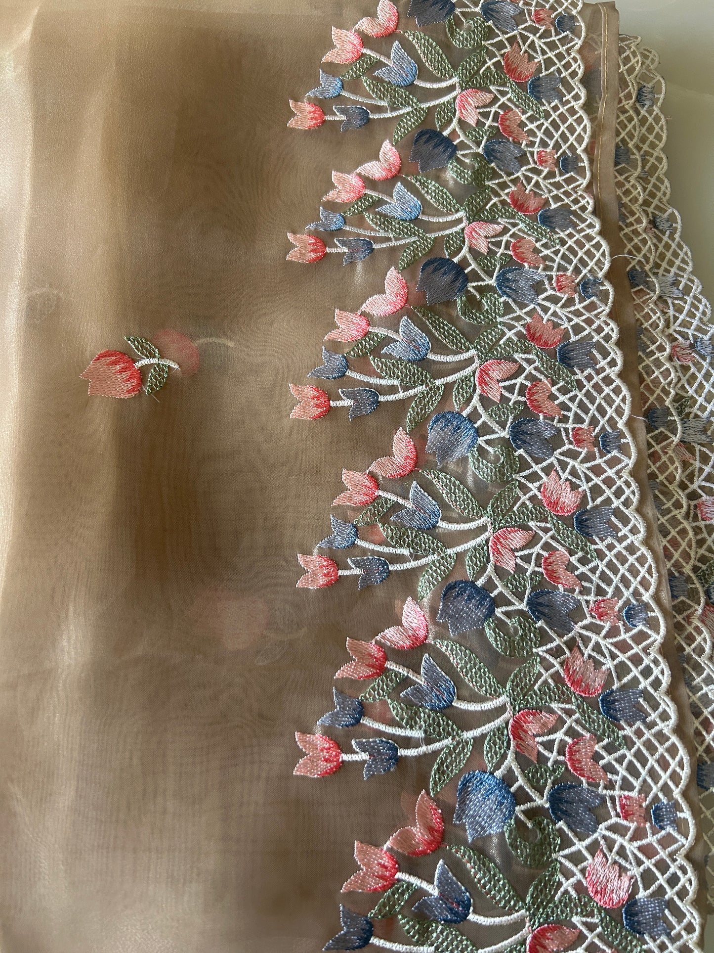 Tissue Organza saree with embroidery SSO165