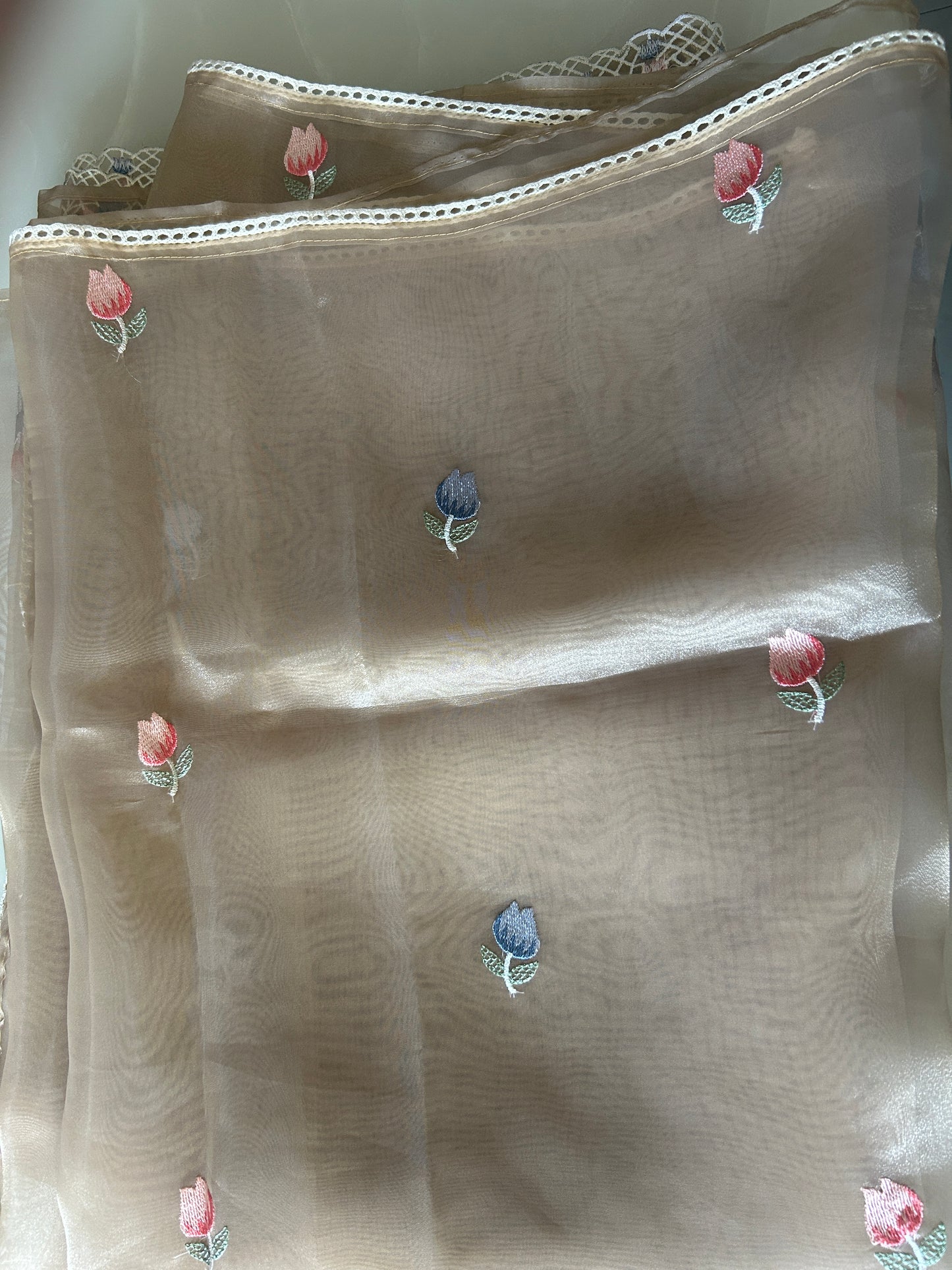 Tissue Organza saree with embroidery SSO165