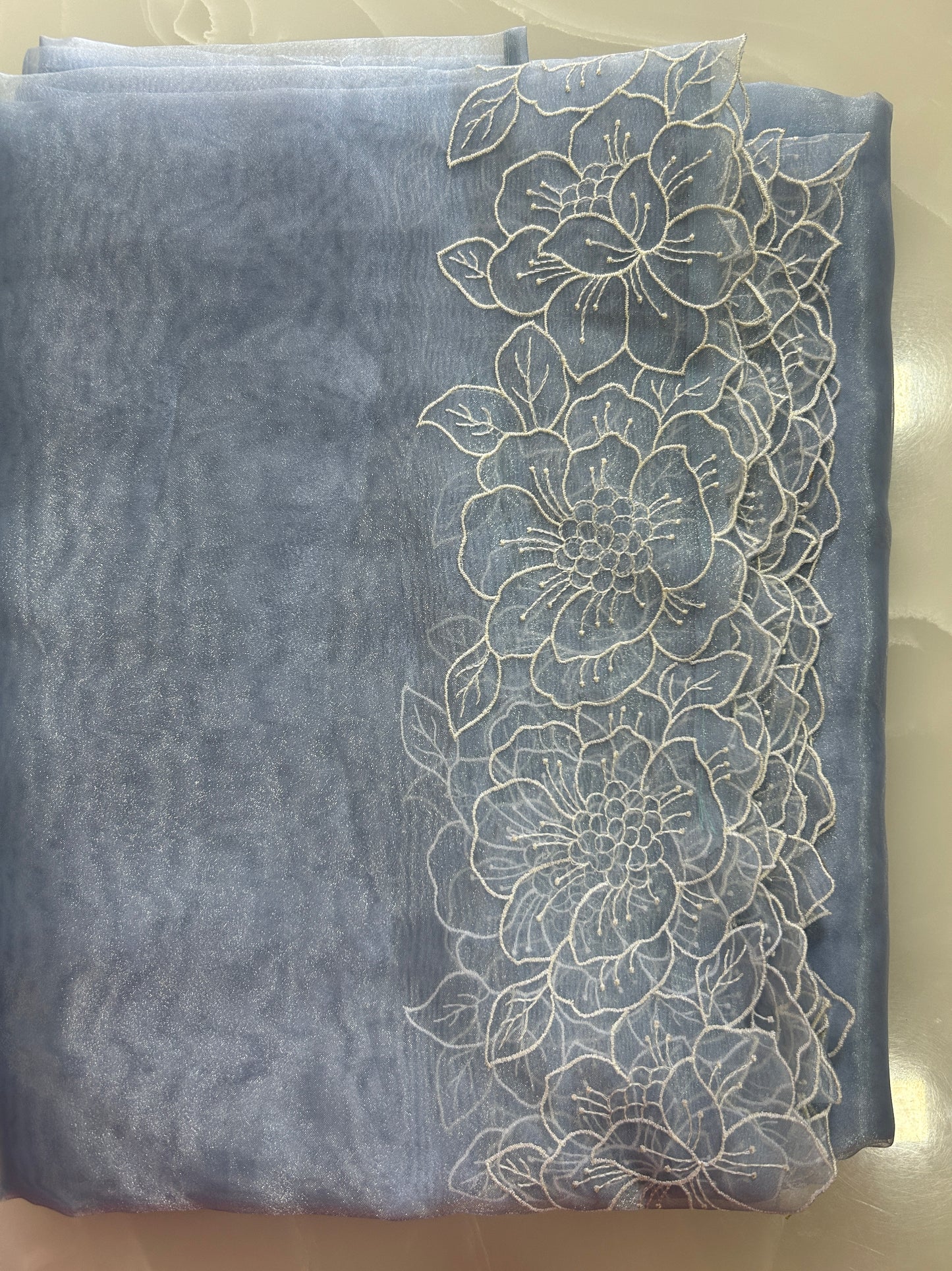 Powder blue Tissue Silk Organza cutwork saree with BP SOT159