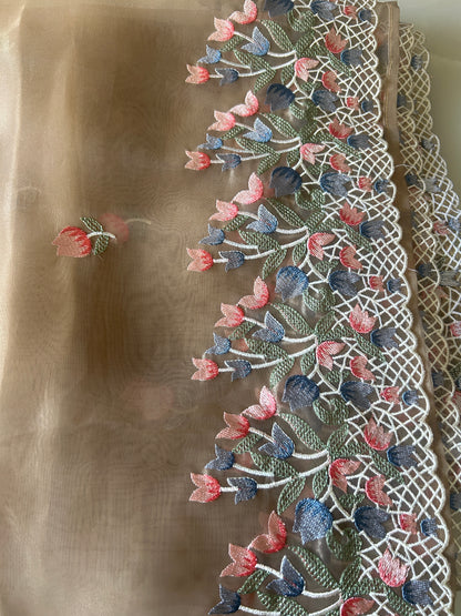 Tissue Organza saree with embroidery SSO165