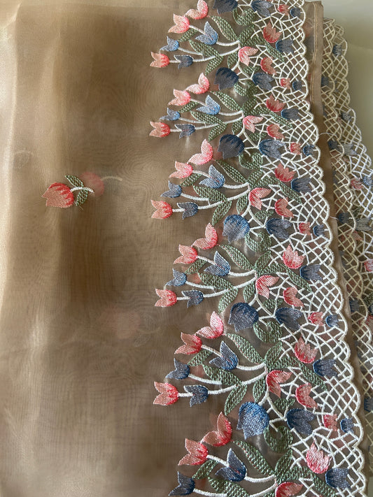 Tissue Organza saree with embroidery SSO165