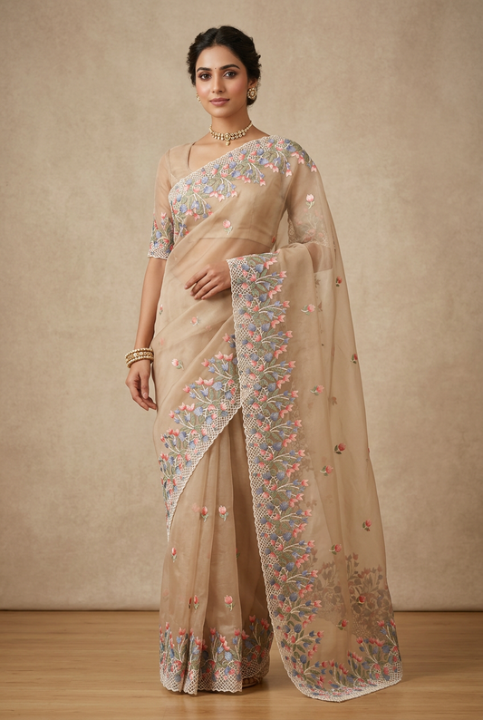 Tissue Organza saree with embroidery SSO165