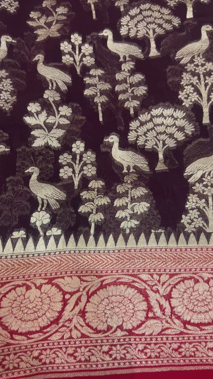 Dark coffee brown Handwoven Handloom Khaddi Georgette Banarasi Saree with contrast red blouse