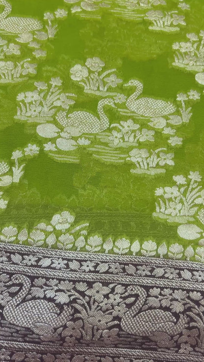 Parrot Green Handloom Khaddi Georgette Banarasi Saree with contrast brown blouse